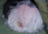 Enlarge photo 22