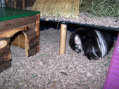 Enlarge photo 13