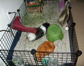 Enlarge photo 2