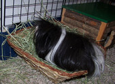 Enlarge photo 11