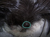 Enlarge photo 32