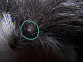 Enlarge photo 33