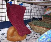 Enlarge photo 35