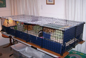 Enlarge photo 34