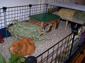 Enlarge photo 14