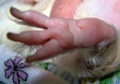Enlarge photo 17
