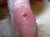 Enlarge photo 13