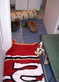 Enlarge photo 23