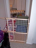 Enlarge photo 24