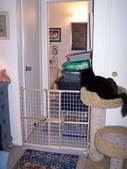Enlarge photo 9