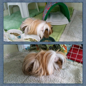 Enlarge photo 8