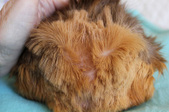 Enlarge photo 3