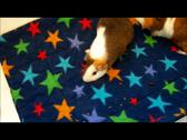 Enlarge WMV 2