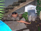 Enlarge photo 11