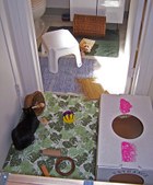 Enlarge photo 12
