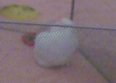 Enlarge photo 25