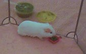 Enlarge photo 26