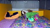 Enlarge photo 10