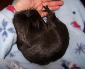 Enlarge photo 2