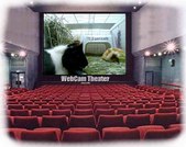 Enlarge photo 24