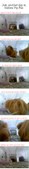 Enlarge photo 46