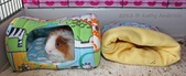 Enlarge photo 12