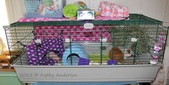 Enlarge photo 8