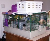 Enlarge photo 7