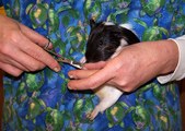 Enlarge photo 14