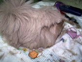 Enlarge photo 58