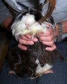 Enlarge photo 6