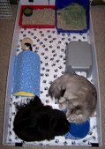 Enlarge photo 12