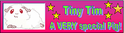 Enlarge photo 39