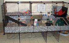 Enlarge photo 8