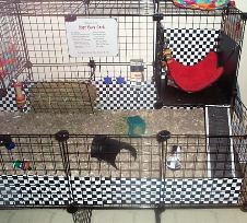 Enlarge photo 10