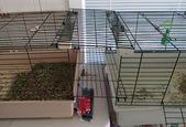 Enlarge photo 3