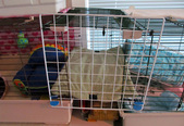 Enlarge photo 10