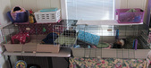 Enlarge photo 2