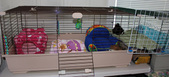 Enlarge photo 8