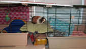 Enlarge photo 12