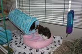 Enlarge photo 6