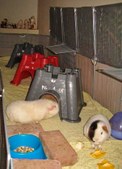 Enlarge photo 11