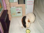 Enlarge photo 26