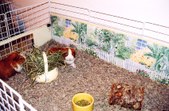 Enlarge photo 78
