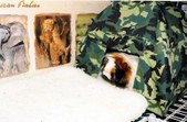 Enlarge photo 72