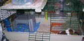 Enlarge photo 20