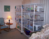 Enlarge photo 1