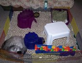 Enlarge photo 24