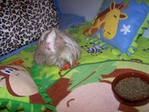 Enlarge photo 3
