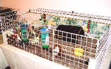 Enlarge photo 10